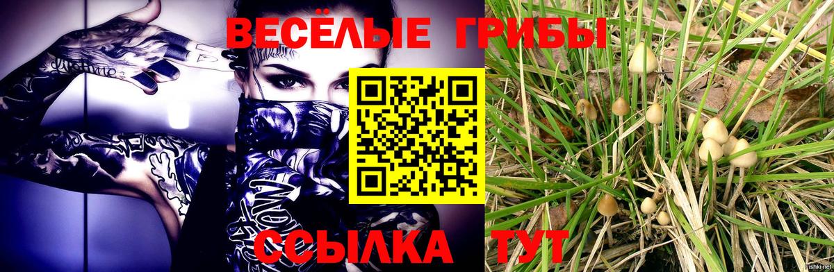 Псилоцибиновые грибы мухоморы Йошкар-Ола