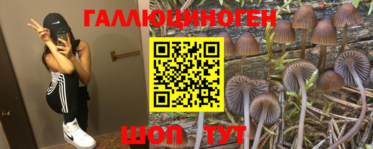 Галлюциногенные грибы Psilocybine cubensis  Галлюциногенные грибы GOLDEN TEACHER  Йошкар-Ола  Вход с VPN 